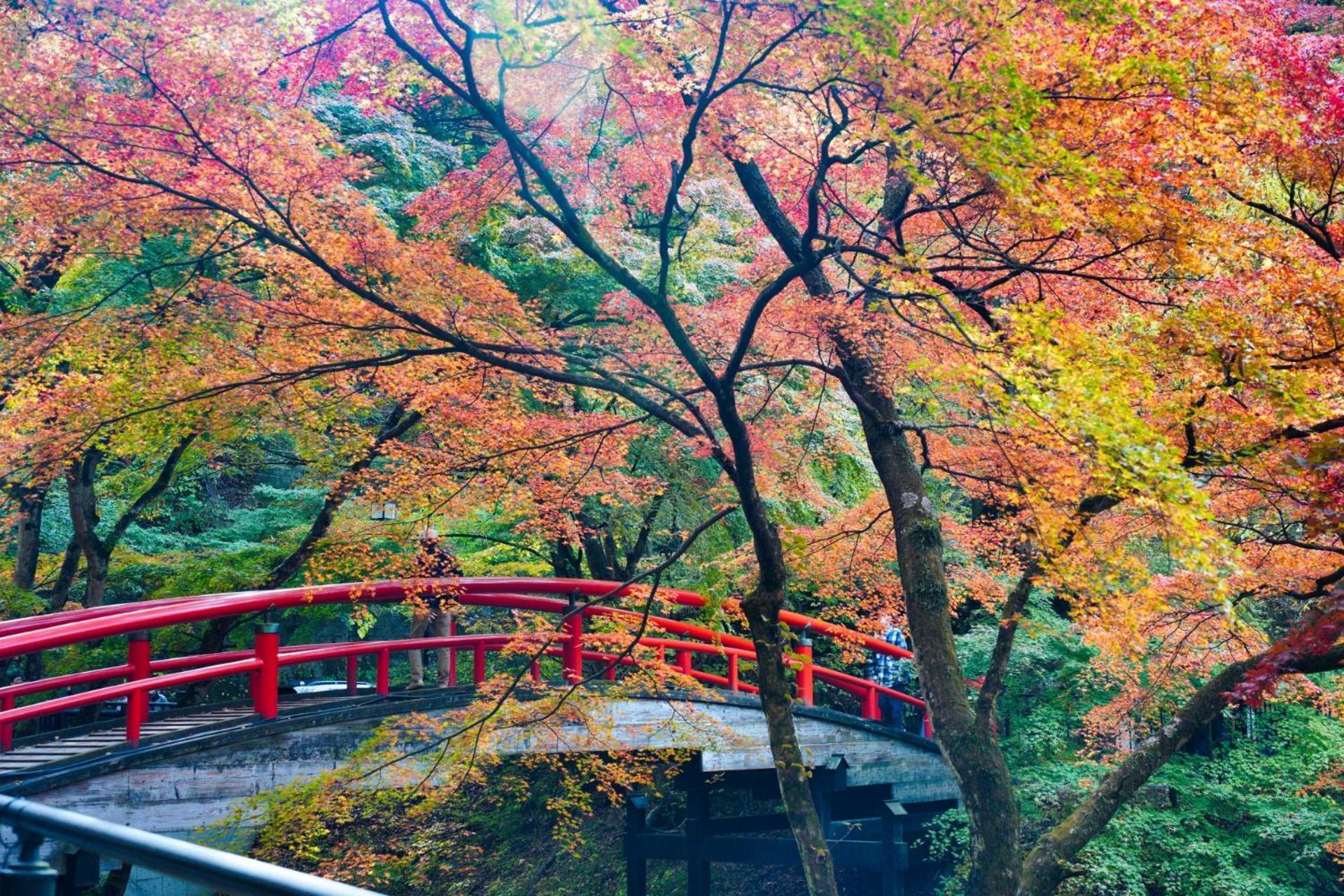 Chigira Jinsentei Otel Shibukawa Dış mekan fotoğraf
